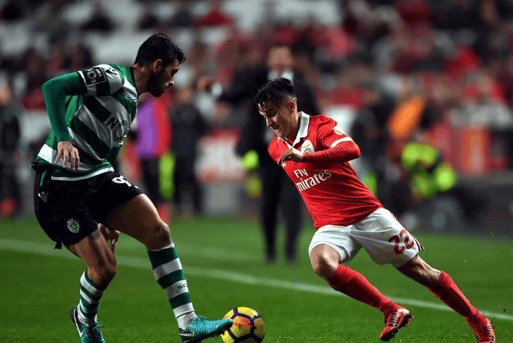 官方网站登录界面-sunny电竞哔哩哔哩个人空间